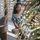 Gh8bGhgdGBYXGhsYFhwcHQ==-avatar