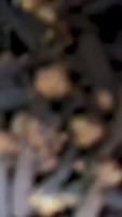 封面GhkaHxceFhYYHhkdFxkXGg==