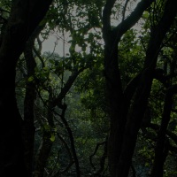封面GhgeGxwXHBoZFxkbHB8bGQ==