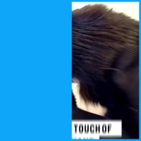 封面GhweHhkdGRgdHBkeGx4b