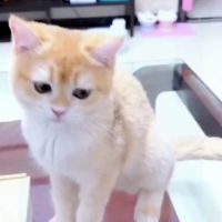 封面HhceFhcdHR0dGh8eFx0eFg==