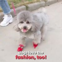 封面Hh0bGh0aGRYfGh8dGhka