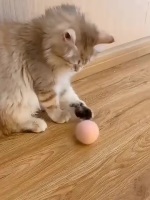 封面HhoWFxscGRwfHhwaHBYf