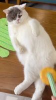 封面Hh8WGxgfGxkaHBgaGxgc