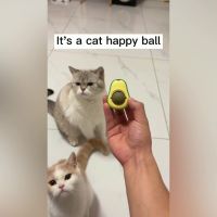 封面Hh4fHhYYGxoaHB8aGhcW