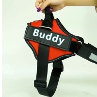 封面Hh8bHxkYHBsWHRkeHxoZ