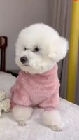 封面HhoWFh0bFhkfHBcYFhsbHg==