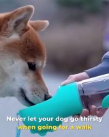 封面Hh0bHxYXGx0YHRsdFhYX