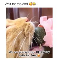 封面Hh0cFh4bGh0YHRkfGxcW