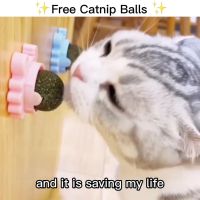 封面Hh0cFxYXHx8fGhYaGxga