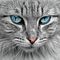 HhwdHx4cHxYWGBkfHh8f-avatar
