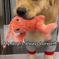 封面GhodGx0bFx0fHRkaFx4a