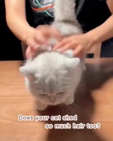 封面Hh8eGxcYGRodFxkaHBwf