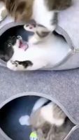 封面GhoWHBwcFhsWGhceGR4d