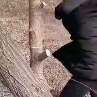 封面HhoeFxgaHB0bHBkXHh4Z