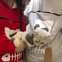 封面HhwaHBkXFxwZFxocFhwcHw==