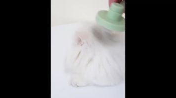封面HhwXHhgWGRcdGxgYHxYX