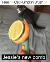 封面HhwYFhkWHRgWHhkaFhwZ