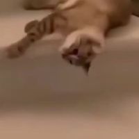 封面Hh4dHhoWHRcXGh0fHBgYHA==