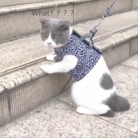封面HhofFh8eHh8eHh4eFhYZ