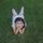 GR0dHhgbFxscGxobGxwdGA==-avatar