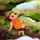 HhgcFx8cHR8XFxwWHBsX-avatar