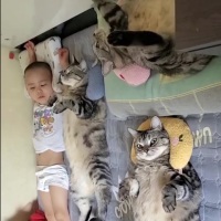 封面HB0fGx0eHhwYGRoaHxwaHA==