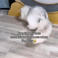 封面GhYcHRkZHBsZHB0XHhsd