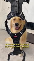 封面GxweHBoYFhsZHBgXGRsd