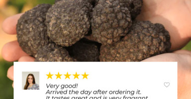 封面HhweFxkXGxoZHRcfGRsbHQ==