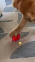 封面GhceGhgWGRYeHRceGR4X